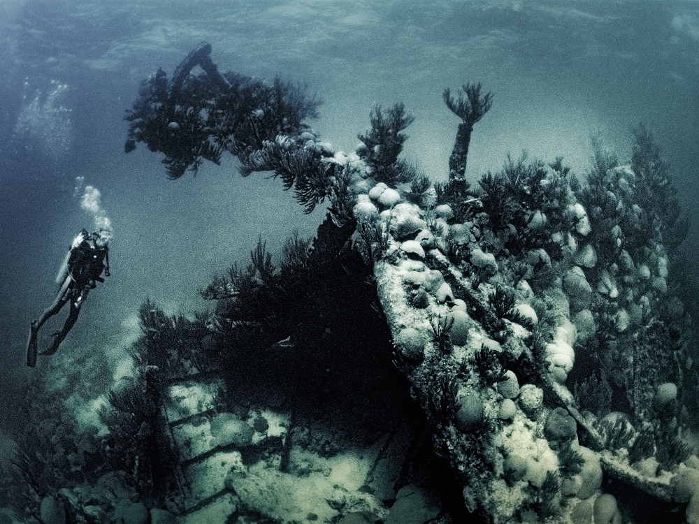 personal bermuda, underwater photography