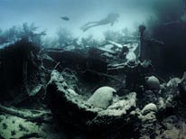 personal bermuda, underwater photography